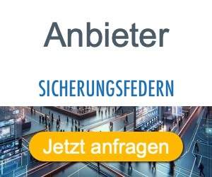 sicherungsfedern Anbieter Hersteller 