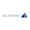 Automotive Anbieter Bluemont Consulting GmbH